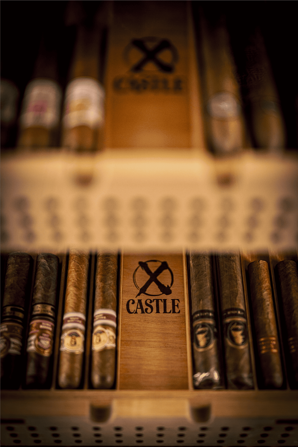 X CASTLE